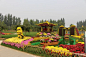 看菊花展第一个亮点是由各省市和北京的各区准备的各种各样美丽的园艺造型，既漂亮又有...