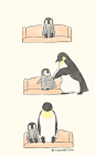 分享一对暖萌的企鹅父子日常（最近看了企鹅的纪录片，毛茸茸的小企鹅真是太可爱了٩( ᐛ )و） ​​​​