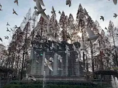 其实不太理解这个地方有啥好拍照的？_Ki_来自小红书网页版