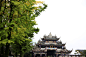 都江堰南桥