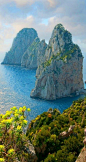 Capri ~ Italy.