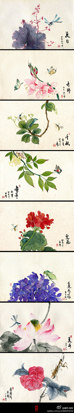 DEBA_采集到插画.植物