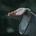 雁笙
