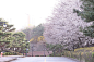Photo by 한양대학교 ERICA on March 13, 2022.