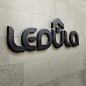 Logo Design  : Logo Design for Ledula. Real Estate company. 