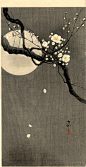 Koson