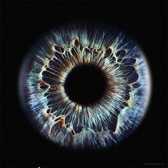 Eyes