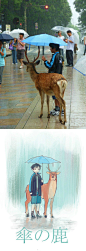 奈良下雨，躲雨的鹿.以及 奈良公园里一个为鹿撑伞的少