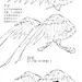 采集图片