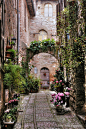 Spello, Umbria, Italy。意大利翁布里亚斯佩罗。有着田园诗般的乡村和山野，风景如画的翁布里亚被誉为“意大利的绿色心脏”。而斯佩罗本是非常素朴的中世纪小城，和翁布里亚其他城市差不多，石头是绝对的主角。斯佩罗建筑的百分之八十都是罗马时代遗迹，也就是说，斯佩罗是翁布里亚最古罗马的小镇。斯佩罗的鲜花节，意大利语是Infiorata，其实是翁布里亚小镇斯皮罗的圣体瞻礼仪式，这一天，斯皮罗的所有主要街道和广场上，都铺满干花屑组成的花毯，美轮美奂。这里的人格外喜爱鲜花，即使不是鲜花节，所有窗台阳台也都