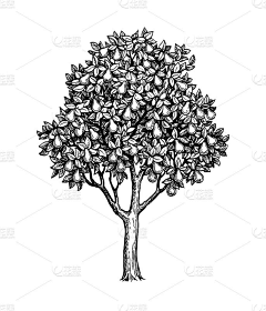 用户5NY5jWzp采集到待归类采集