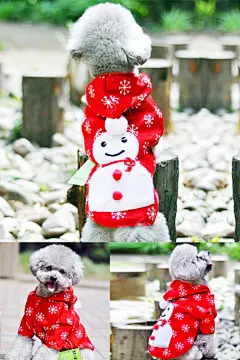 狗狗衣服,狗狗两脚衣,宠物两脚衣,泰迪狗衣服,宠物衣服,小狗衣服