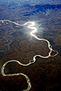 顶好视觉银蛇。（via Joshua Park ，蒙古）