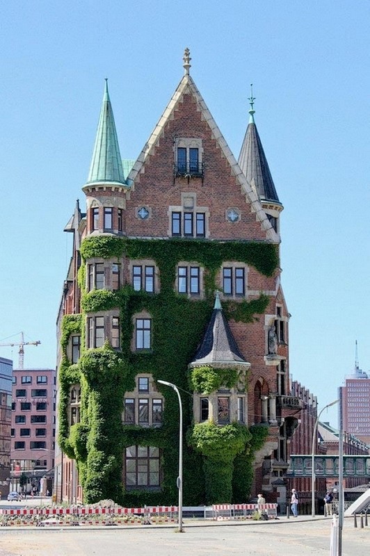 全球被植物覆盖的优雅建筑