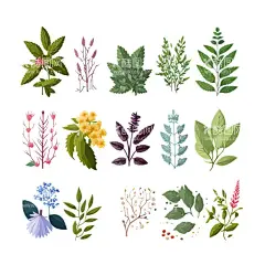 水彩叶子芭蕉叶高清  - 源文件下载【酷图网】叶子,水彩叶子,水彩花卉,枫叶,芭蕉叶,扇子叶,树叶,花卉,手绘花卉,热带叶子,清新水彩,清新,矢量,高清,花,春天,设计,叶子素材,其他,图片素材,AI