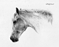 White horse by ~Nightmare-v on deviantART