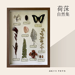 Skr小仙女呢采集到装饰挂件