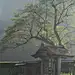 唐門の朝