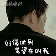 宋仲基 表情包 老婆 叫我 回头