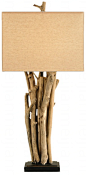 Driftwood Table Lamp  台灯