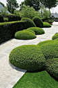 Immergrüne Pflanzung, Winterstruktur    If you want to create a garden path, you should think in advance about the purpose for which you want to use the path or the Avenue in the garden – as a decorative, structuring design element or as a bed border, and