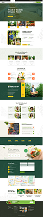 Orgonic – My WordPress Blog