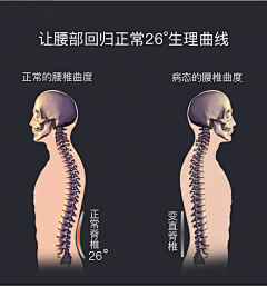 晚成采集到医疗护腰