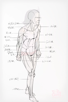 夷微采集到绘画/人物形态