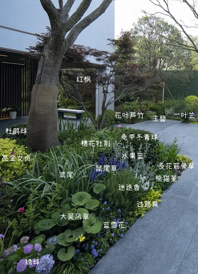 【植物配置】长效花境案例分享 - 小红书-花瓣网