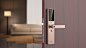 Smart Retina Doorlock : The Smart Retina Doorlock is more than a doorlock, but also serves as a camera which can shoot videos and take pictures of any abnormal lingering. It boasts a variety of access methods to cater to different lifestyles, including NF