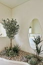 Home plants indoor decor living rooms pots & planters