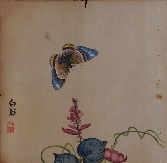 齐白石——蝴蝶 - 堆糖