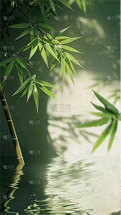 宋e采集到场景