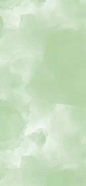 浅色绿 (29)