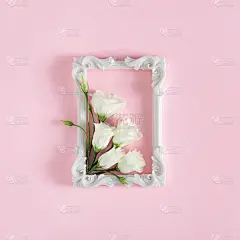 创意构图的白玫瑰花和框架。
