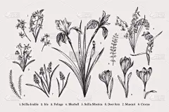 春天,华丽的,浪漫,壁纸,番红花属,自然美,风铃草属,花,布置,复古