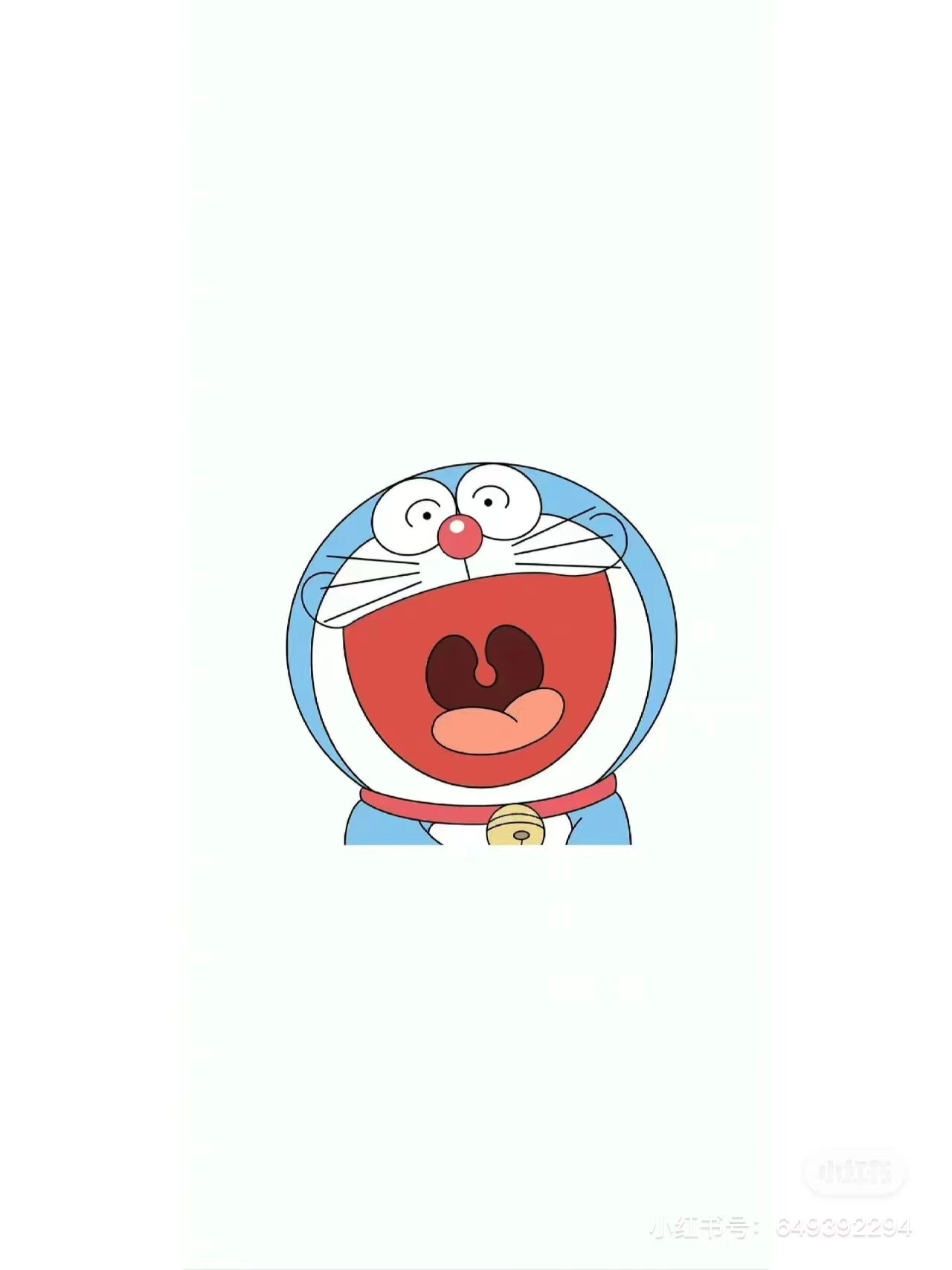 秦QQQQ秦