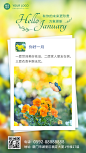 1月你好实景界面清新文艺手机海报