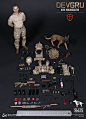 【新提醒】DAMTOYS 新品：1/6 海军特种作战发展大队 DEVGRU - K9队员在阿富汗 （78040#）兵人在线BBICN - Powered by Discuz!