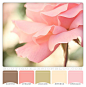 Perfectly Pink color scheme with soft pink, brown and green