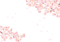 水彩日式樱花Sakura花朵分割线边框花圈AI矢量印刷平面海报素材 (6)