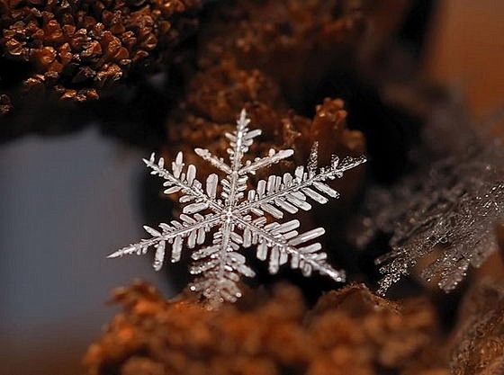 雪花微距摄影