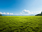 VCG41N1312729436