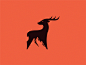 Deer animal identity sign design symbol logo