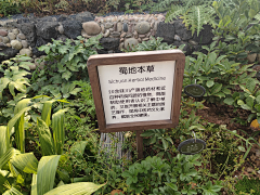 快乐hhhhh采集到20240524 成都世园会