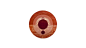 rug image number 0