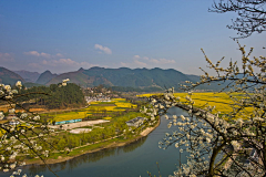 花はつ茶こい采集到旅行素材