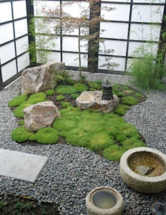 设计的毅力Rui采集到景观植物
