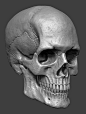 Skull WIP, Cauê Oliveira