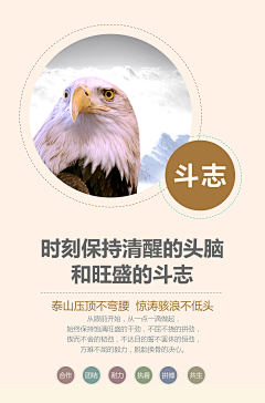 醉四采集到创意,海报,文字